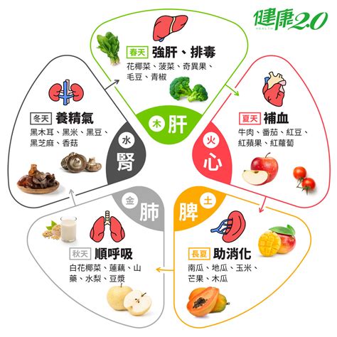 屬金食物|五行五色挑食法，吃出抗病力｜健康2.